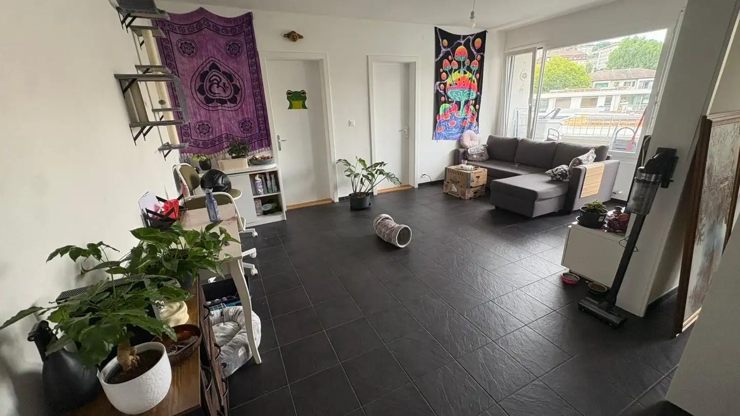 Appartamento in affitto - Chemin Du Platane 5, 1008 Prilly