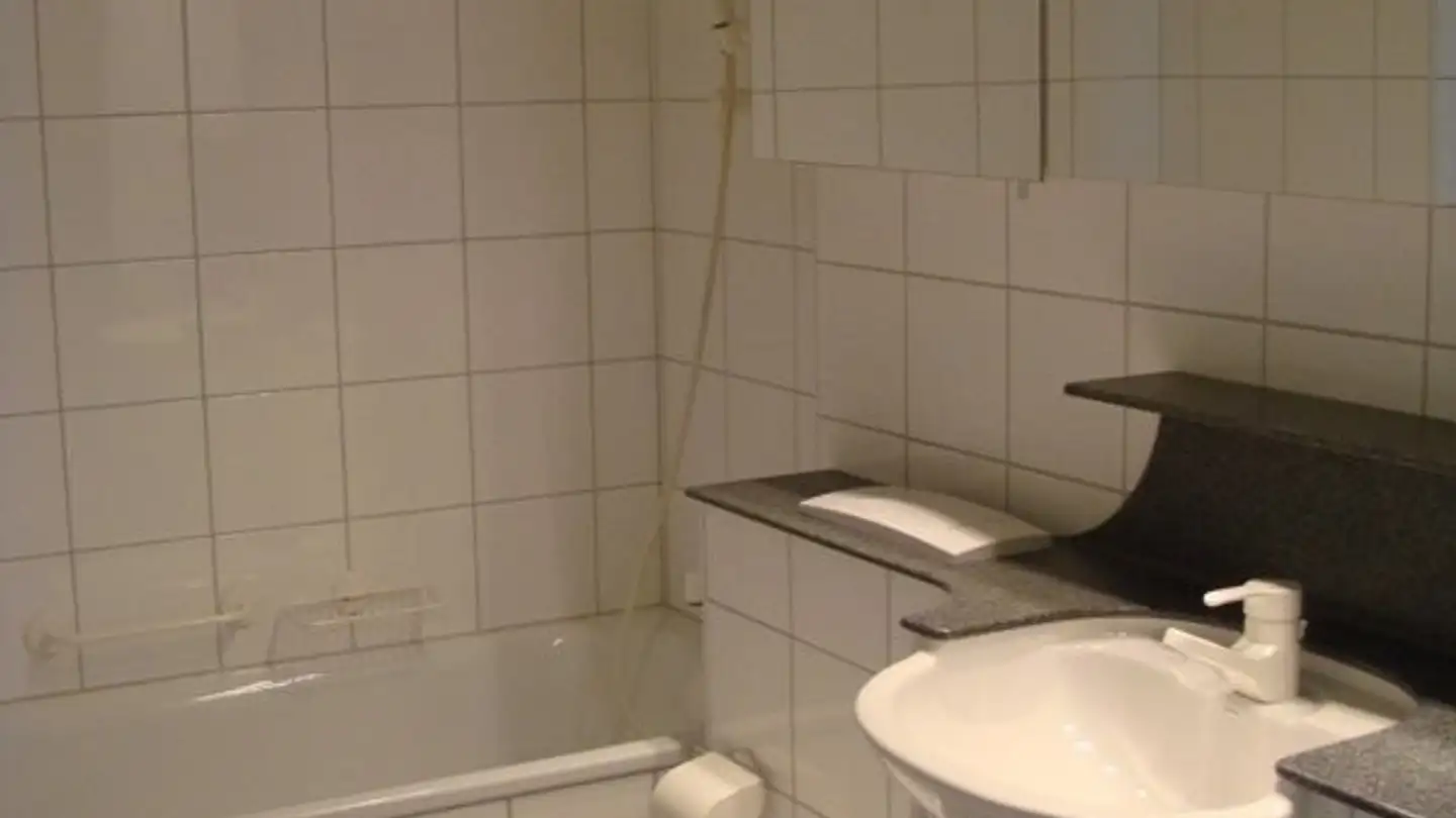 Wohnung mieten - Hirzbodenweg 17, 4052 Basel - Foto 3