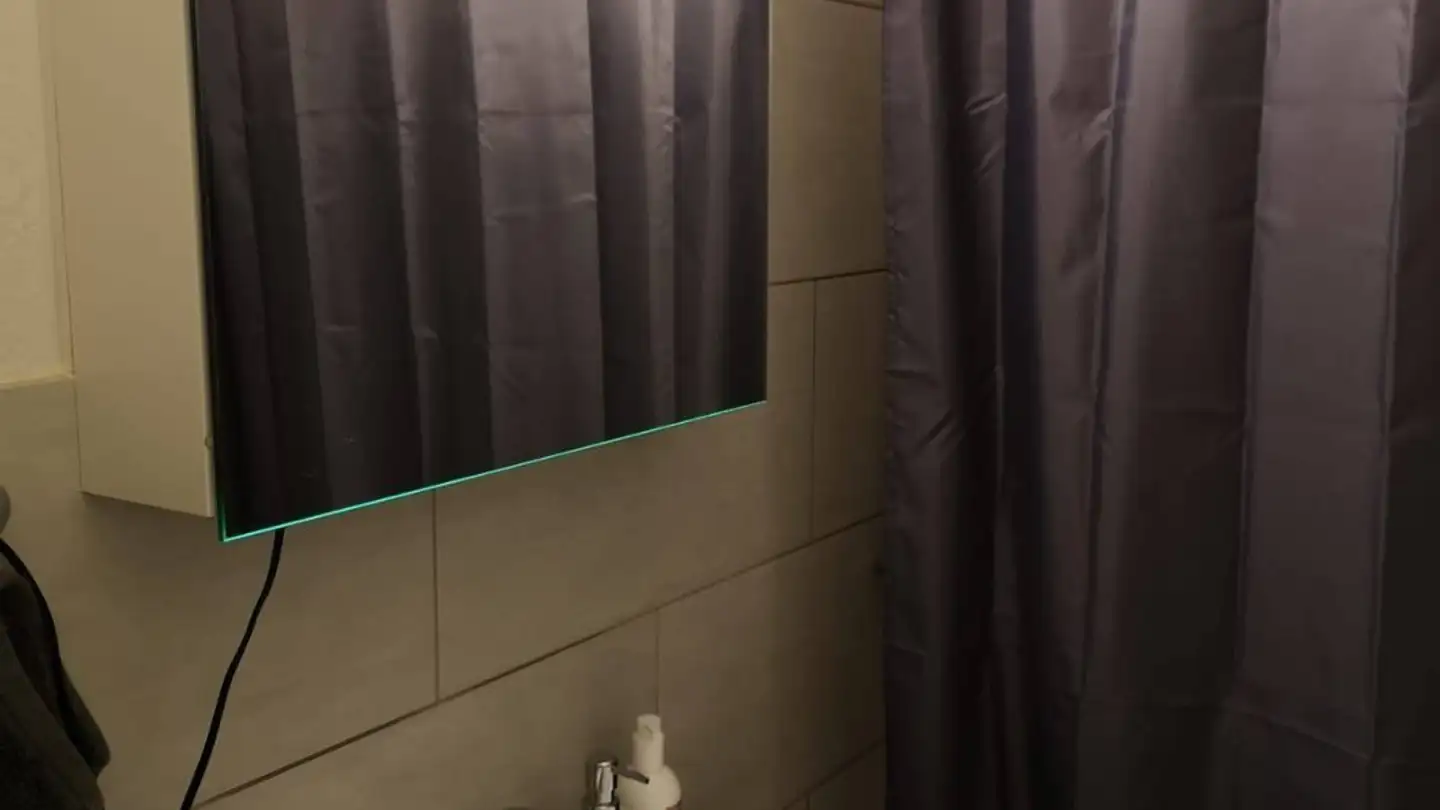 Single room for rent - Regensbergstrasse 306, 8050 Zürich - Photo 3