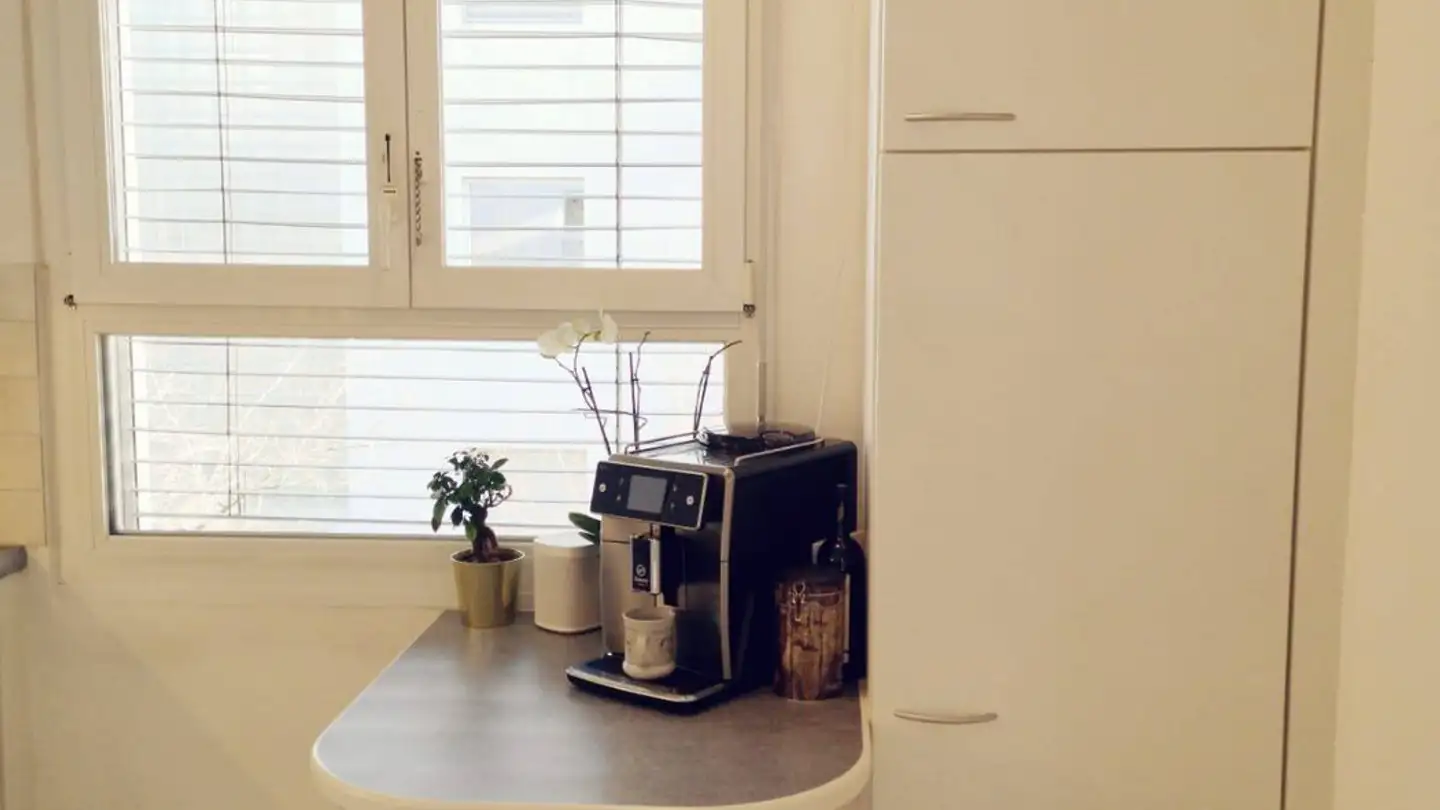 Single room for rent - Regensbergstrasse 306, 8050 Zürich - Photo 4