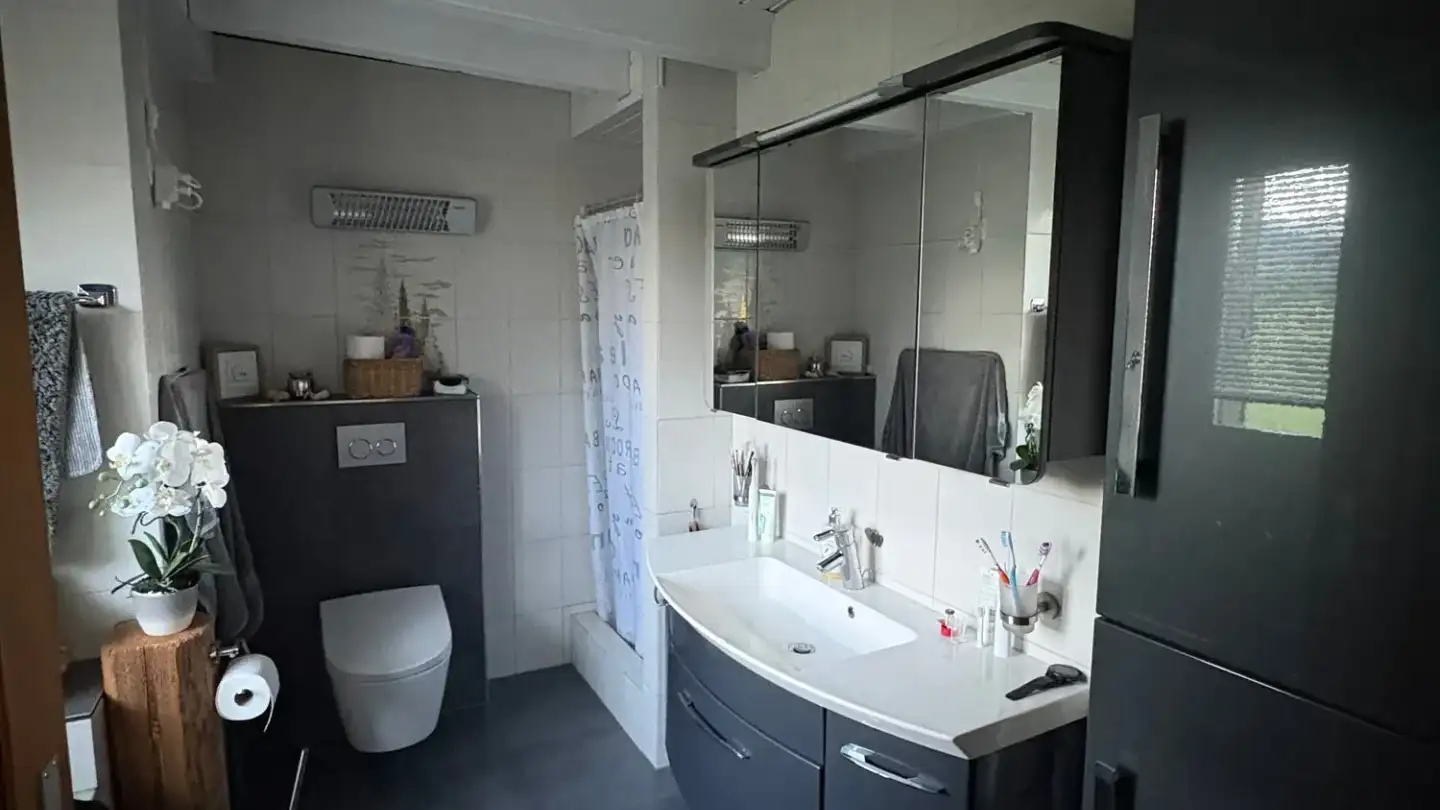 Attic flat for rent - Feldweg 694, 8723 Rufi - Photo 4