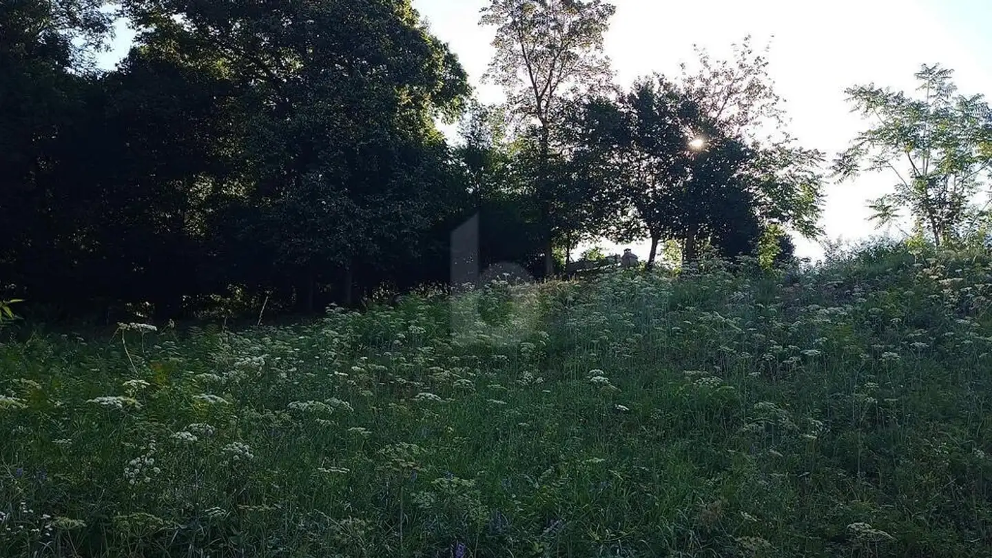 Terreno edificabile in vendita - 6821 Rovio - Foto 4