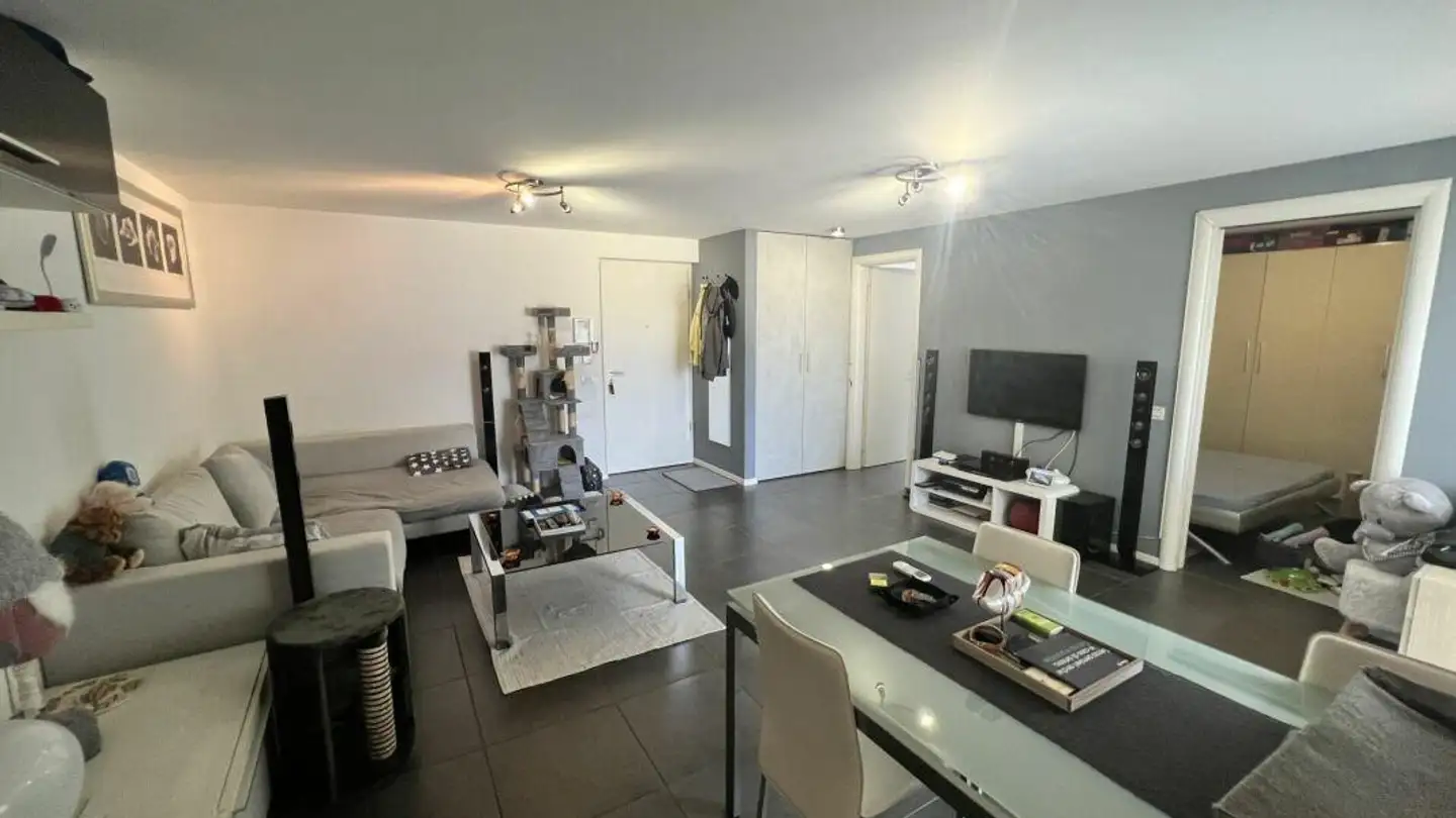 Wohnung kaufen - Via Sottomontagna 20, 6593 Cadenazzo - Foto 4