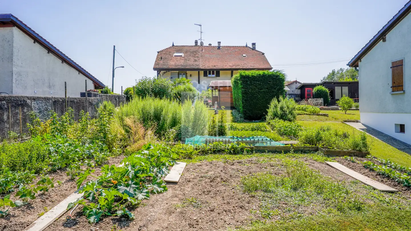 Fattoria in vendita - 1242 Satigny - Photo 3