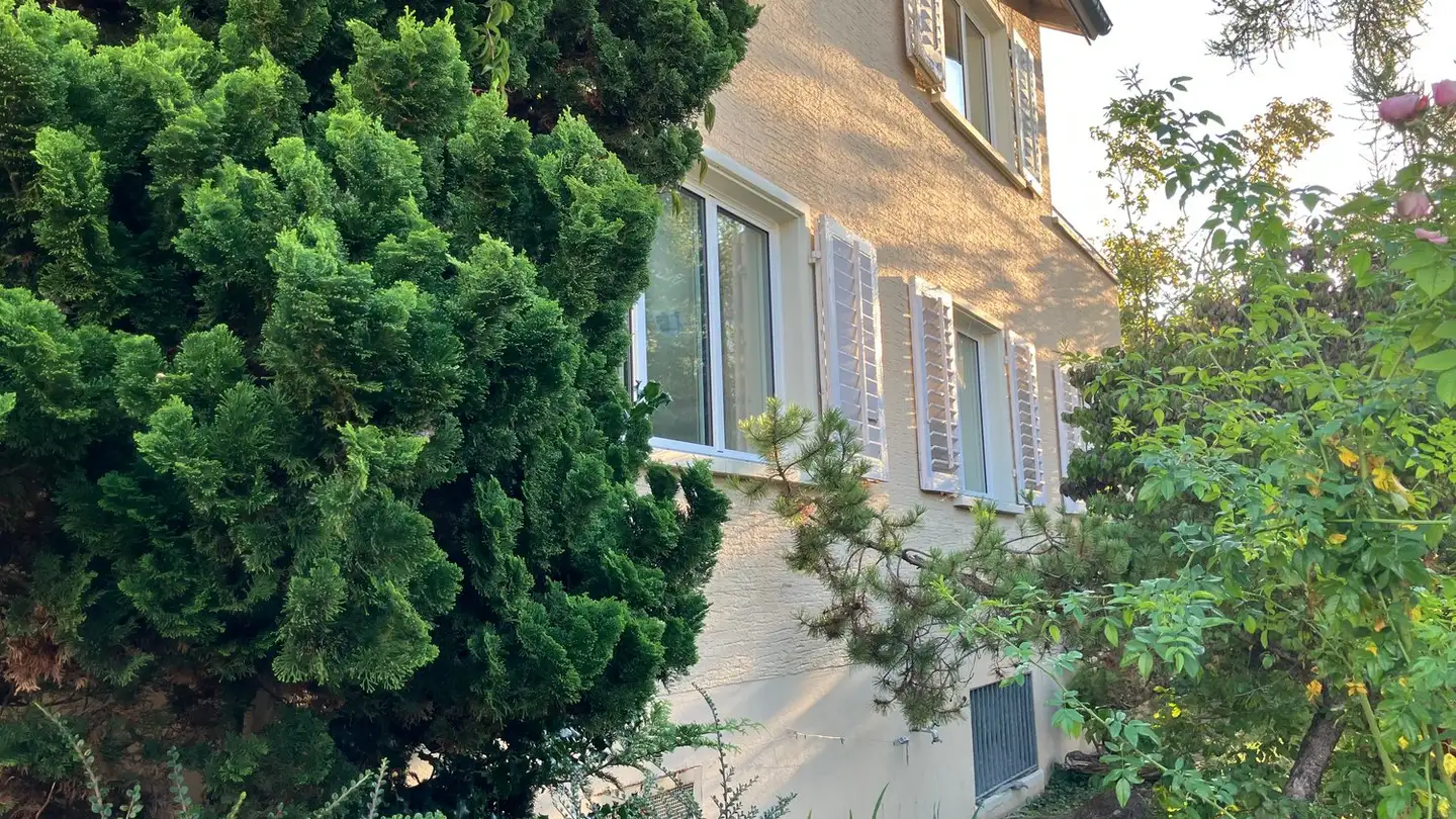 Appartamento in affitto - Zelglistrasse 2, 8046 Zürich