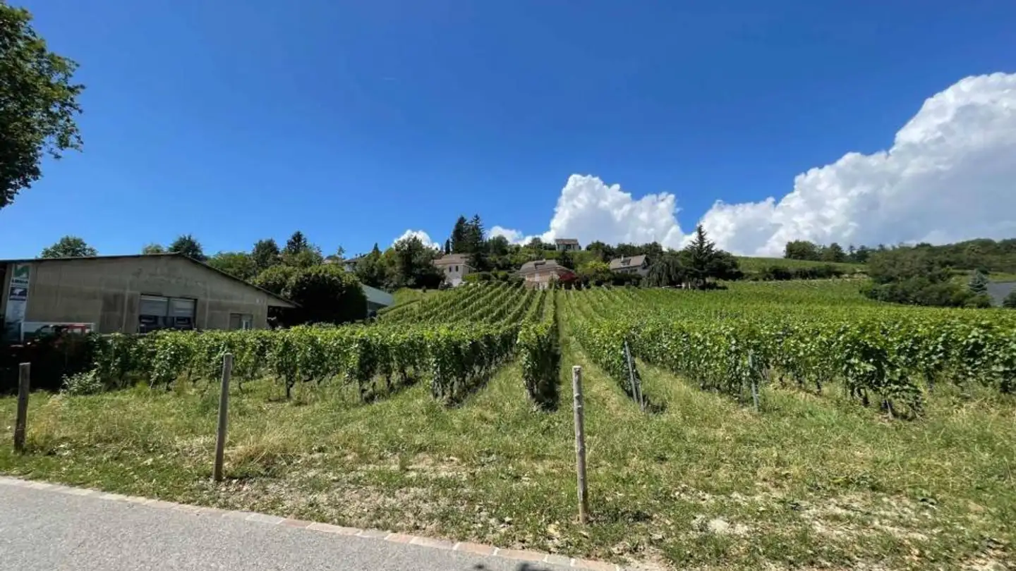 Gewerbe kaufen - 1026 Echandens