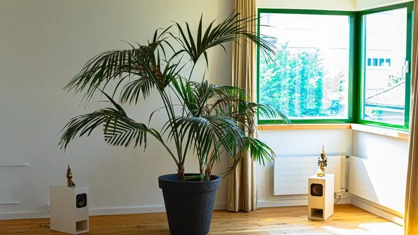 Office space for rent - Reinacherstrasse 117, 4053 Basel - Photo 2