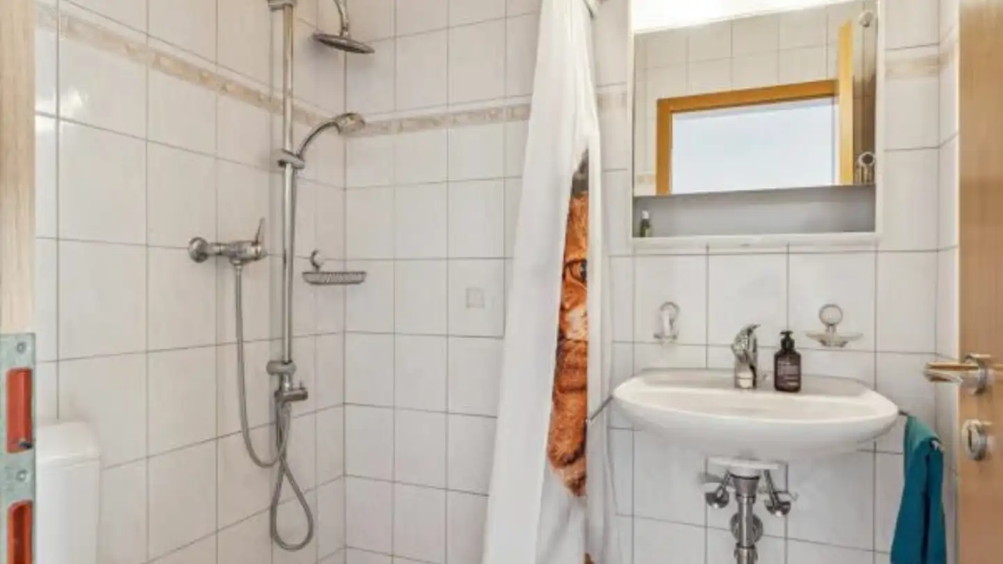 Mischgenutztes Gebäude kaufen - Scharnagelnstrasse 3, 4704 Niederbipp - Foto 4