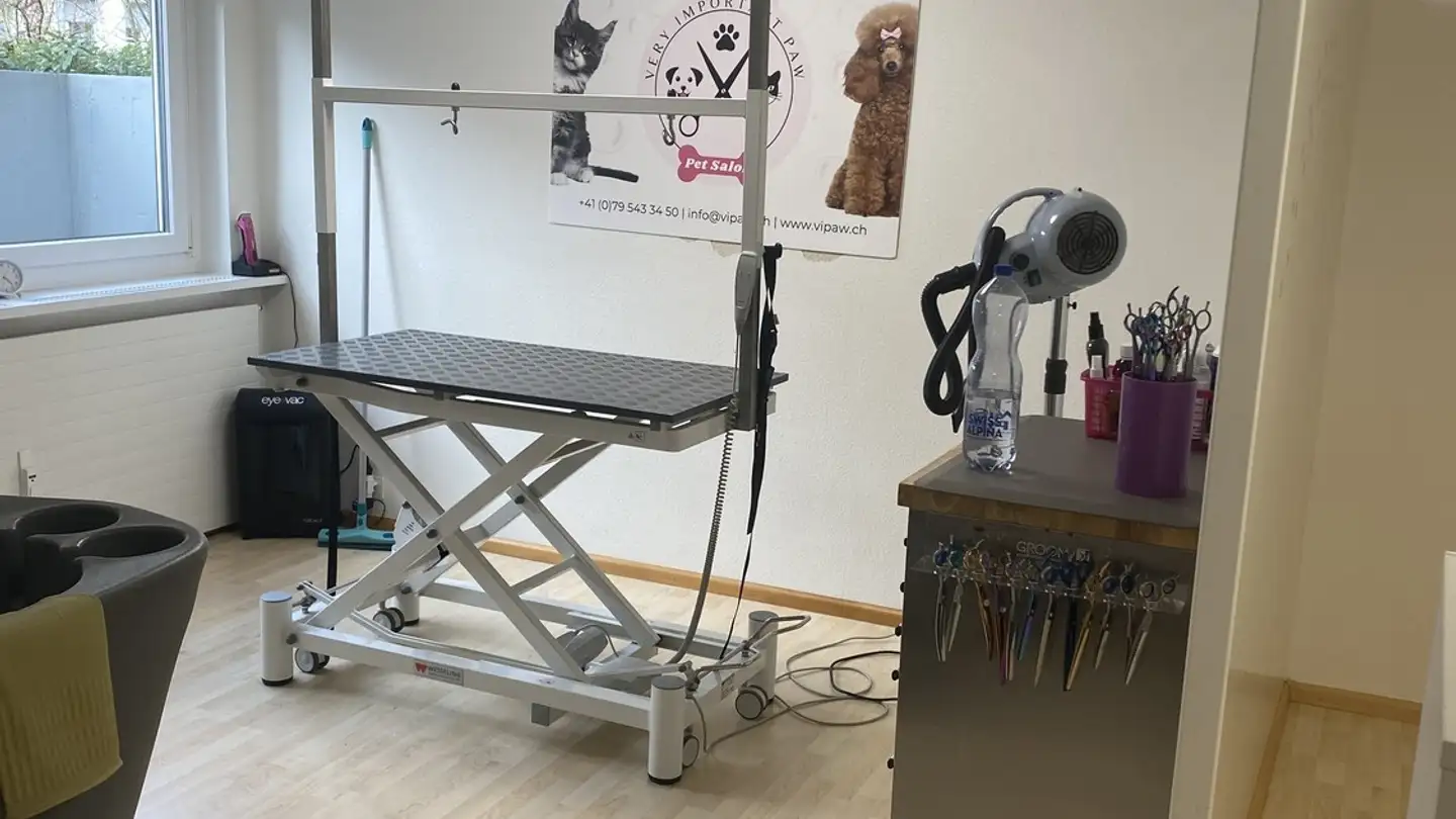 Commercial à louer - Langegasse 21, 4104 Oberwil BL - Photo 2