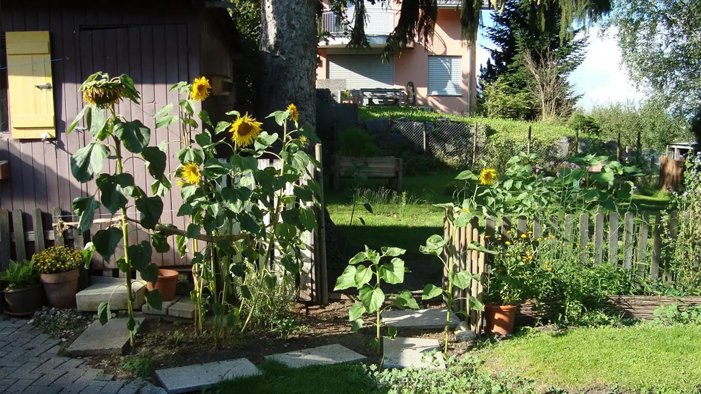 Einfamilienhaus mieten - Underfelsbach 9, 9473 Gams - Foto 2