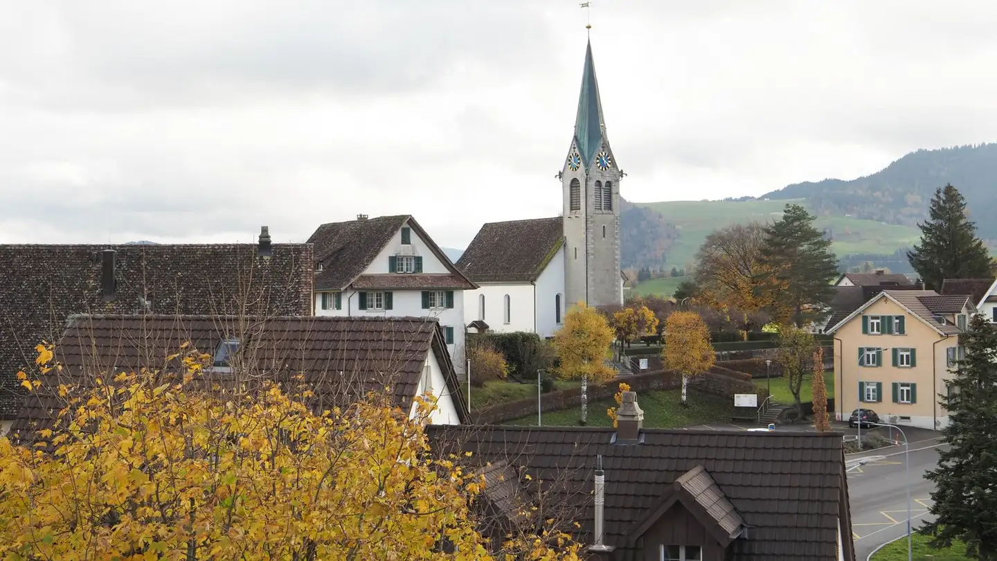 Appartamento in affitto - Sonnenrainweg 9, 8824 Schönenberg ZH
