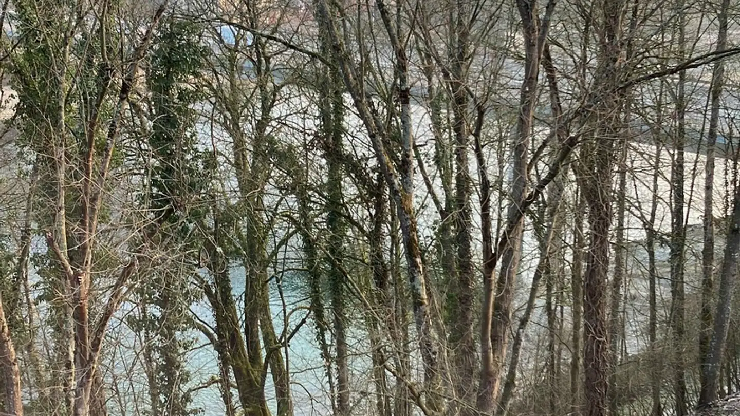 Stanza singola in affitto - Promenade 24, 5200 Brugg AG - Photo 4