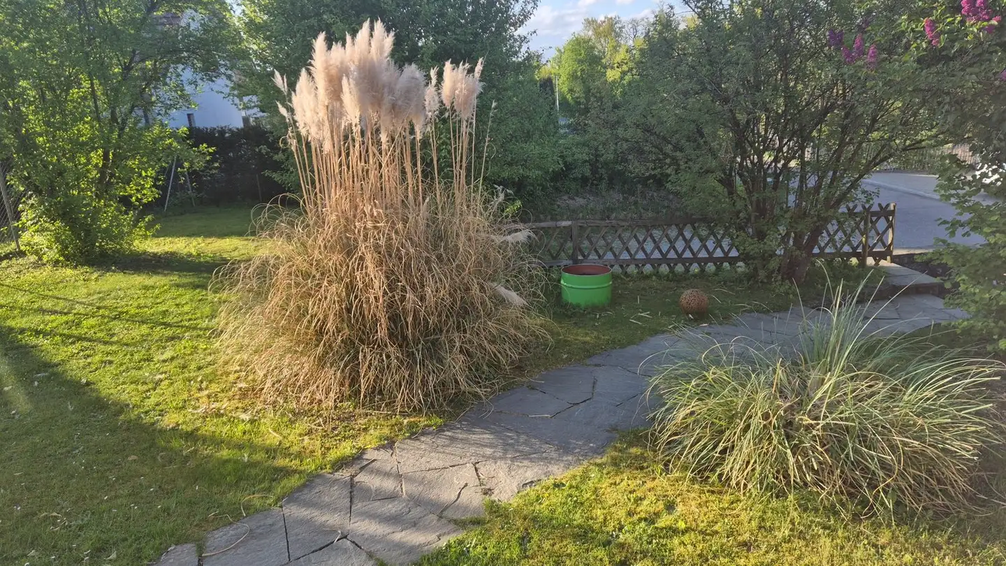 Single house for rent - 5702 Niederlenz - Photo 2