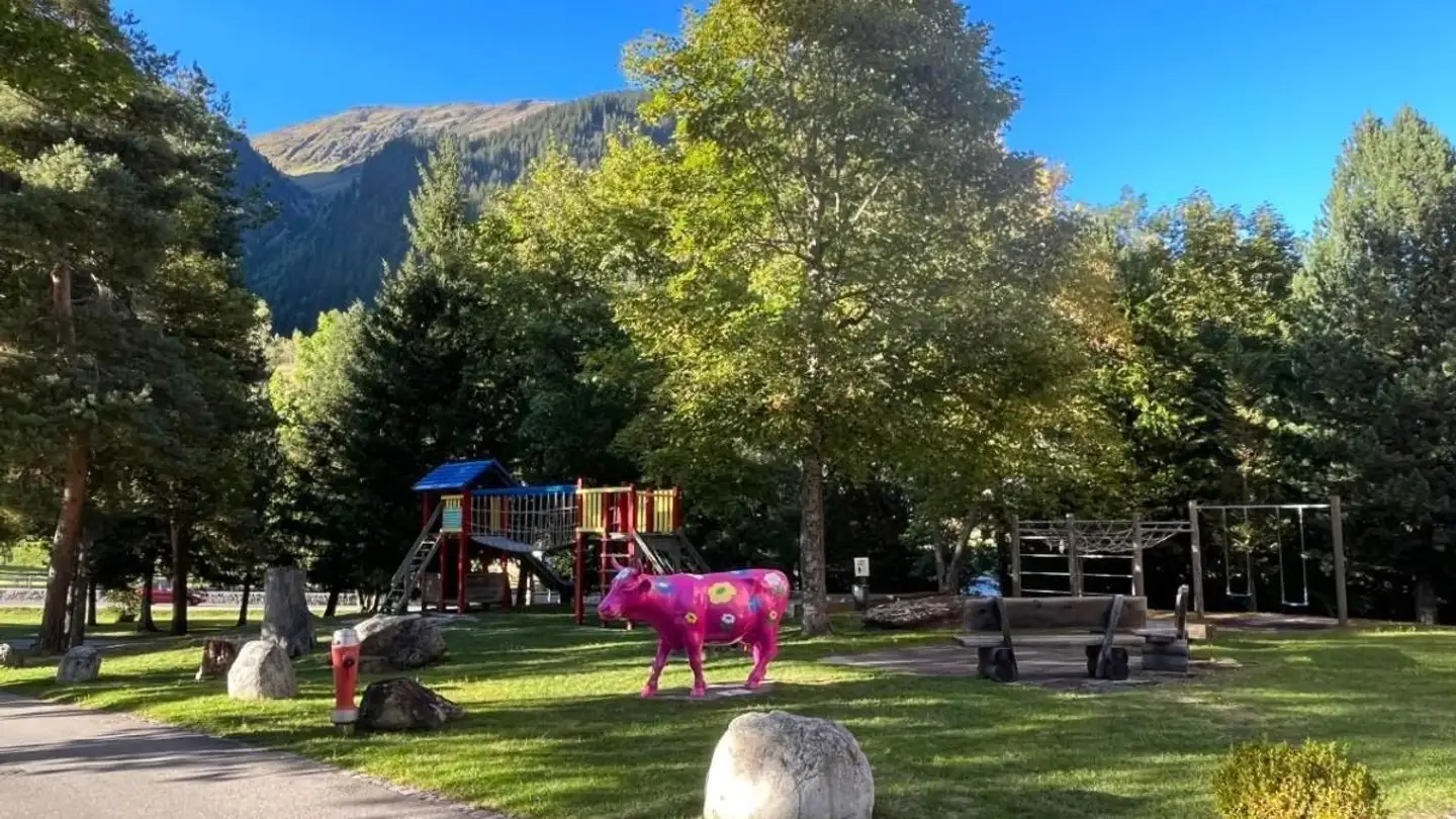 Appartement meublé à vendre - 7180 Disentis/Mustér