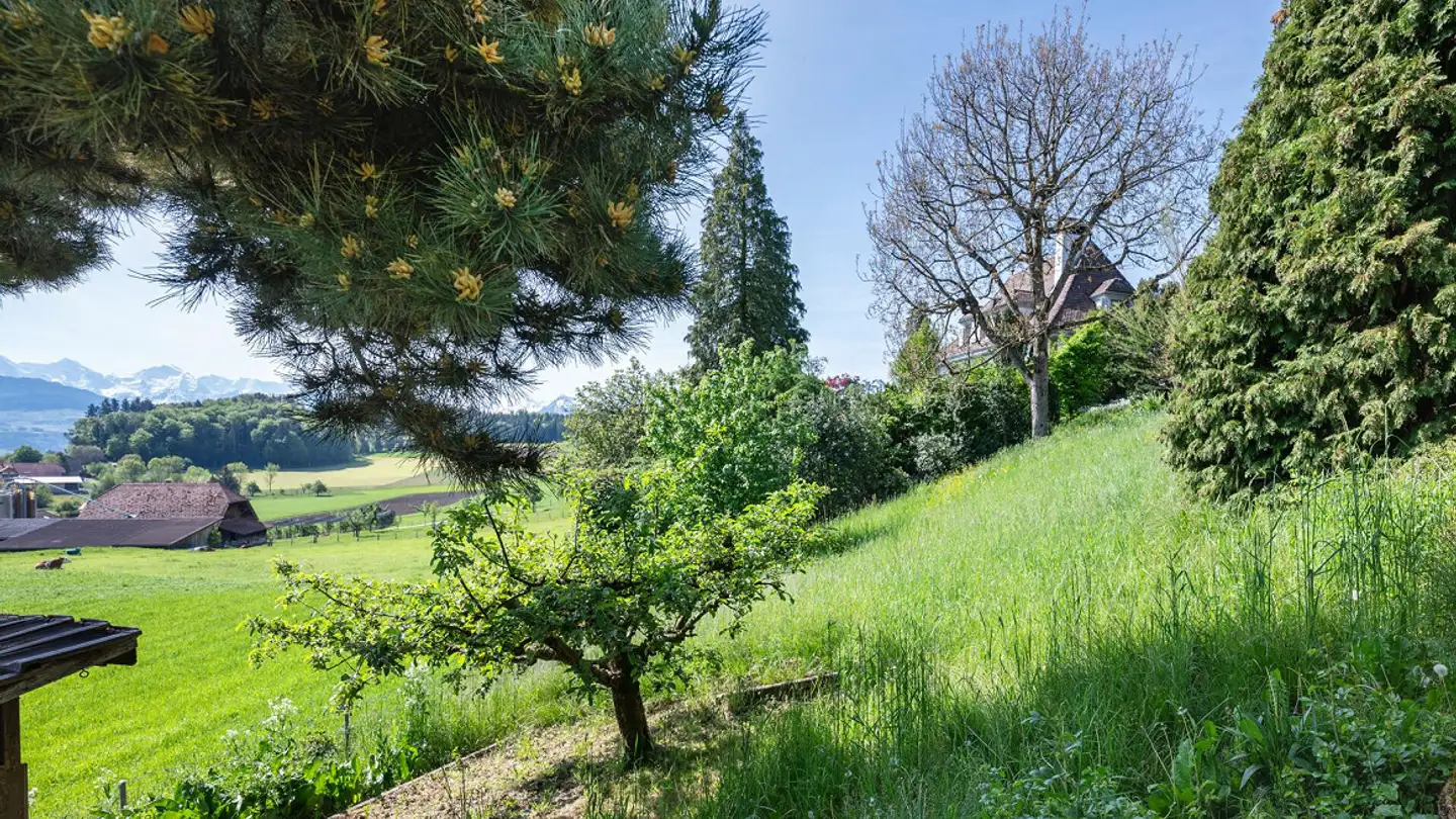 Casa singola in vendita - Wylermoos 9, 3124 Belpberg - Photo 4