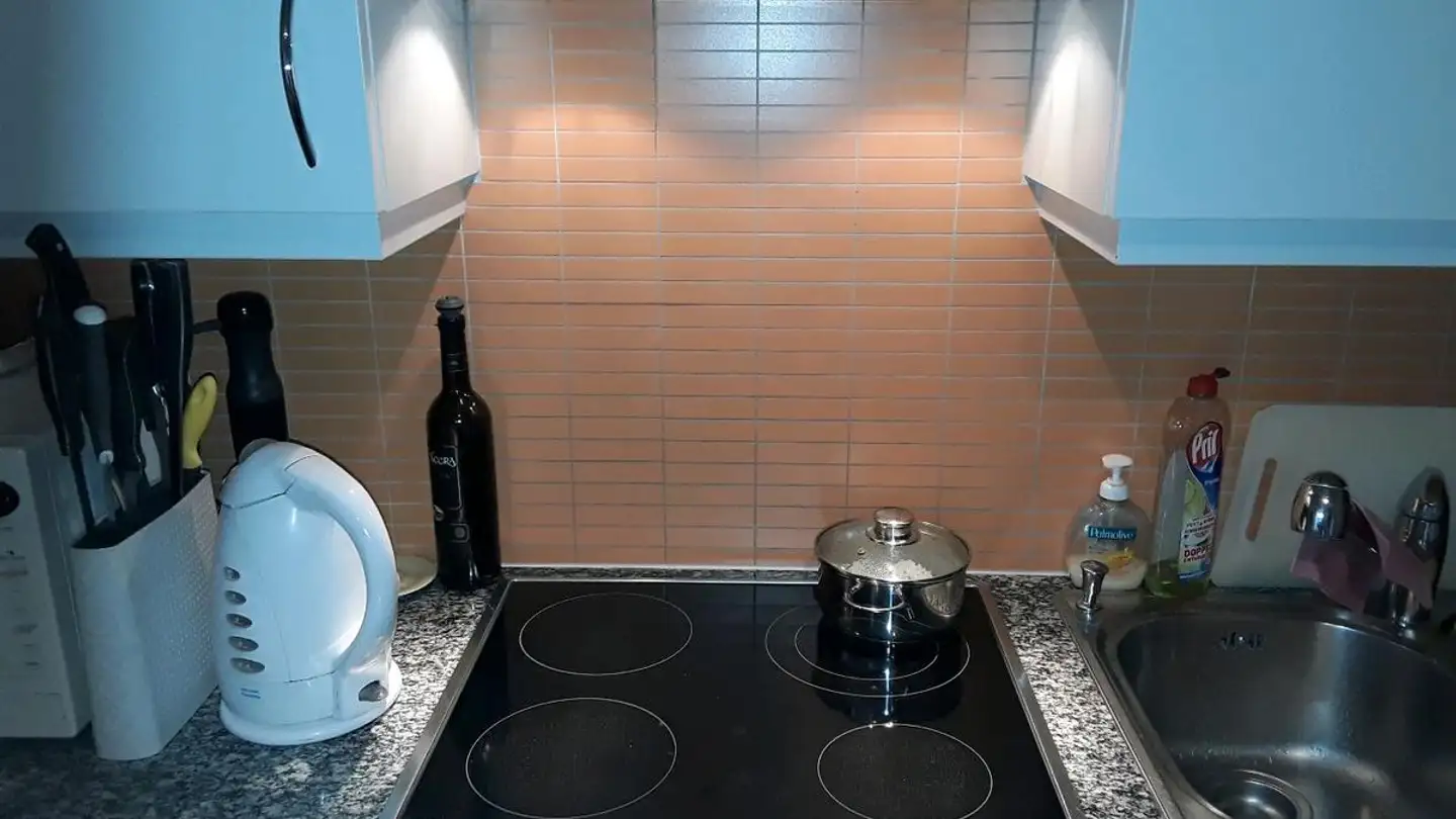 Wohnung mieten - Avenue De Riant-Mont 3, 1004 Lausanne - Foto 3