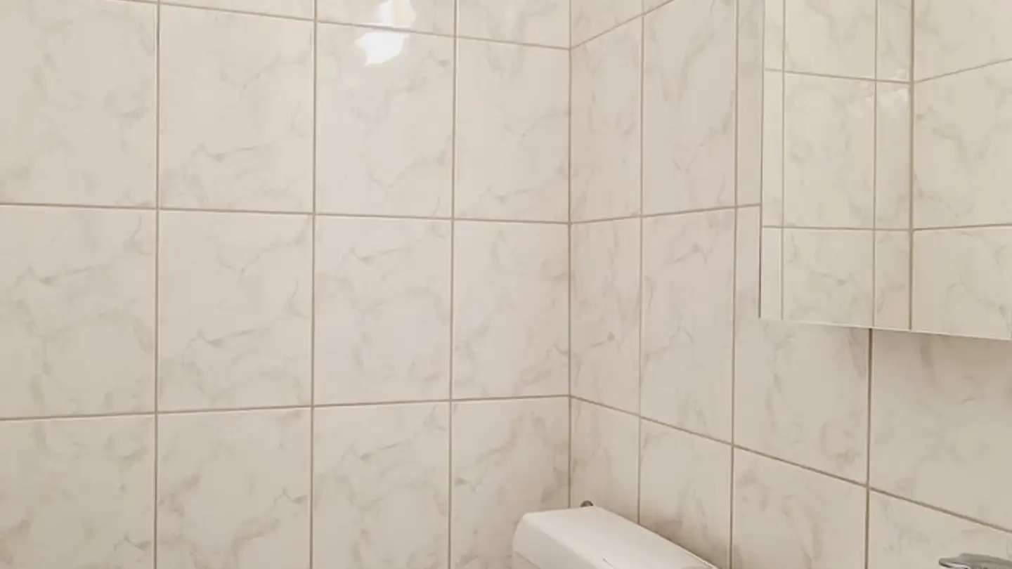 Chambre à louer - Engimattstrasse 31, 8002 Zürich - Photo 3