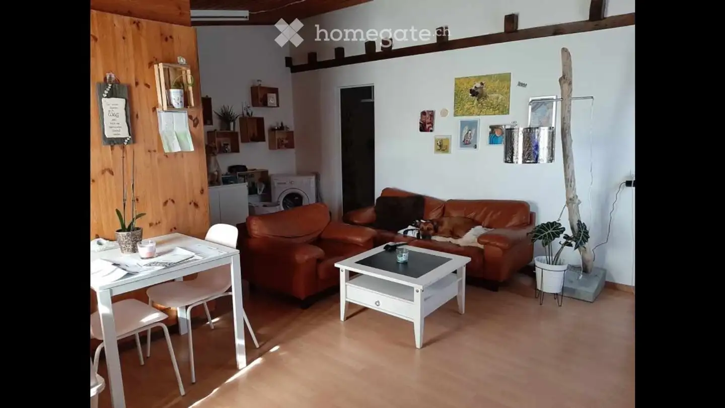 Appartement à louer - 8223 Guntmadingen