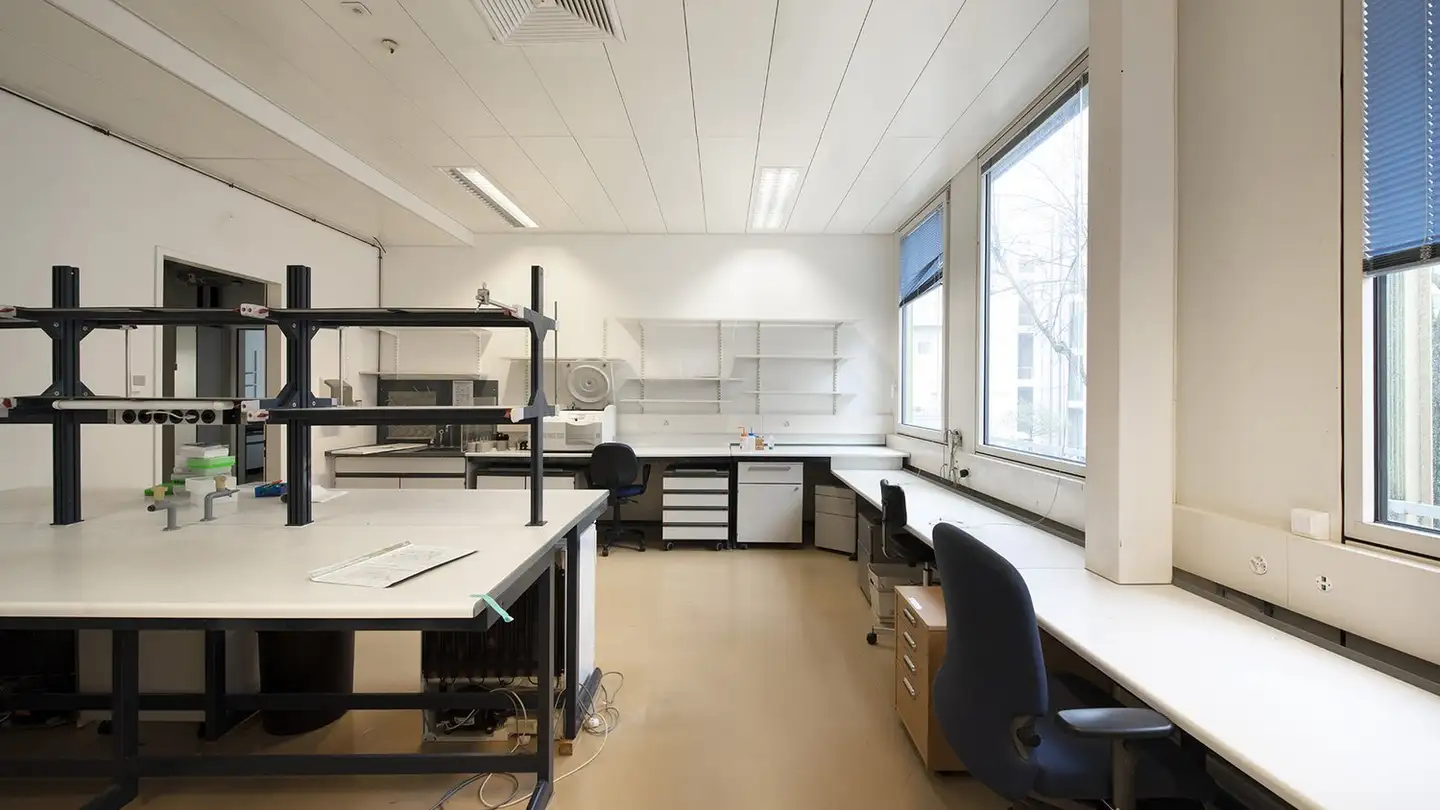 Bureau à louer - Chemin Des Aulx 14, 1228 Plan-les-Ouates - Photo 4