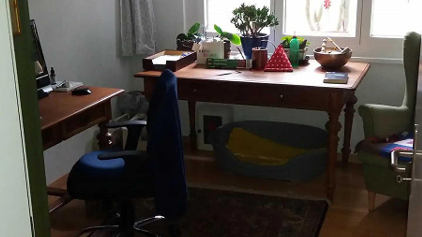 Appartamento in affitto - Mönchaltorferstrasse 4, 8132 Egg b. Zürich - Foto 4