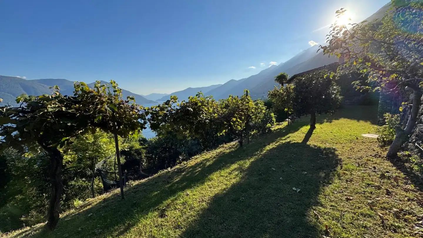 Maison individuelle à vendre - Via Corafora 21, 6622 Ronco sopra Ascona - Photo 2