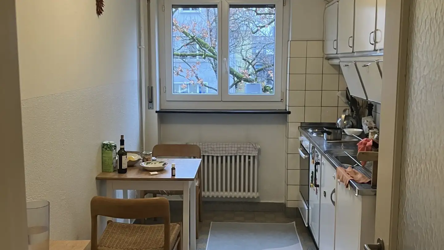 Appartamento in affitto - Albisriederstrasse, 8047 Zürich - Foto 3