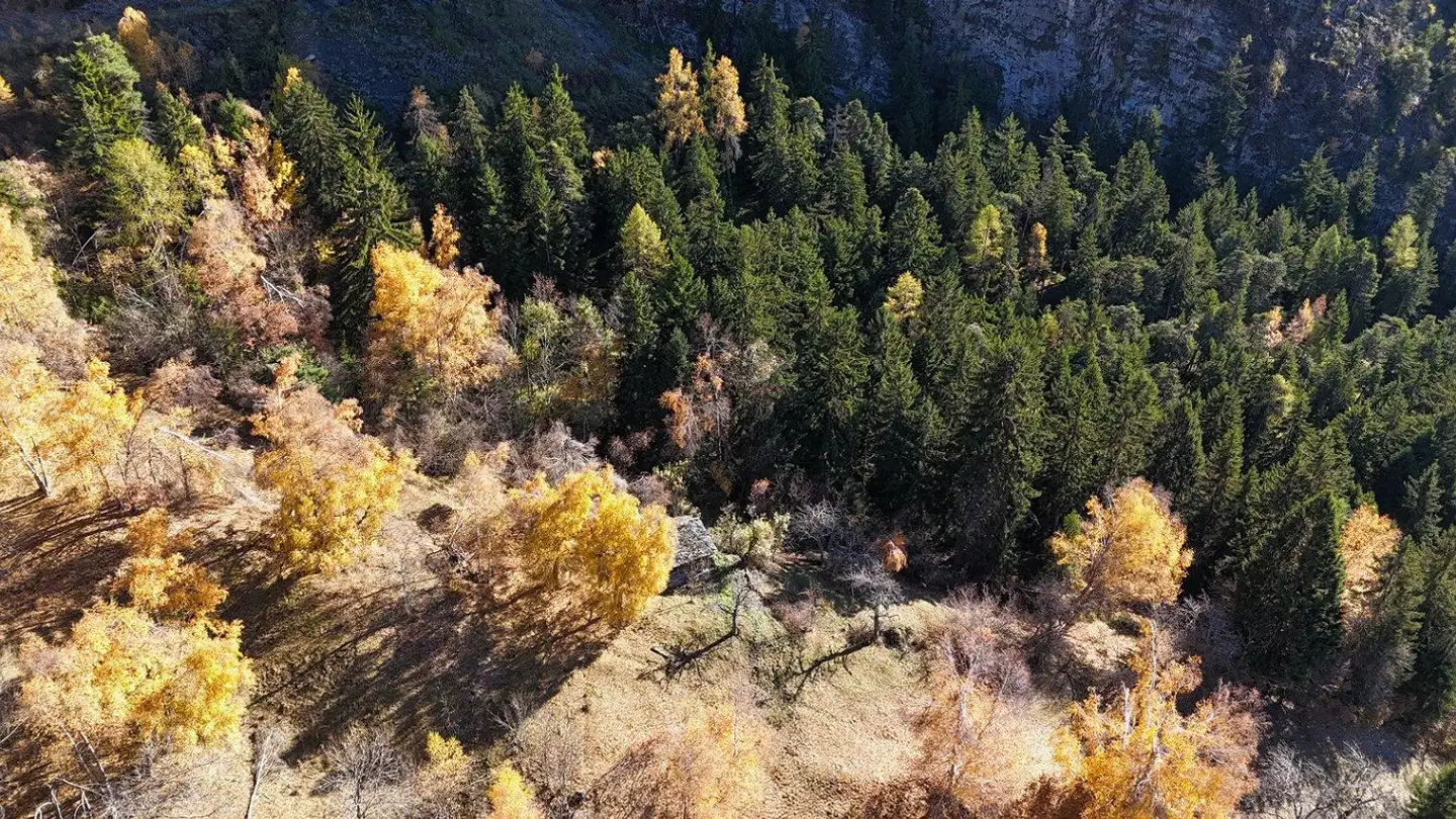 Commercial building plot for sale - 3955 Albinen - Photo 4