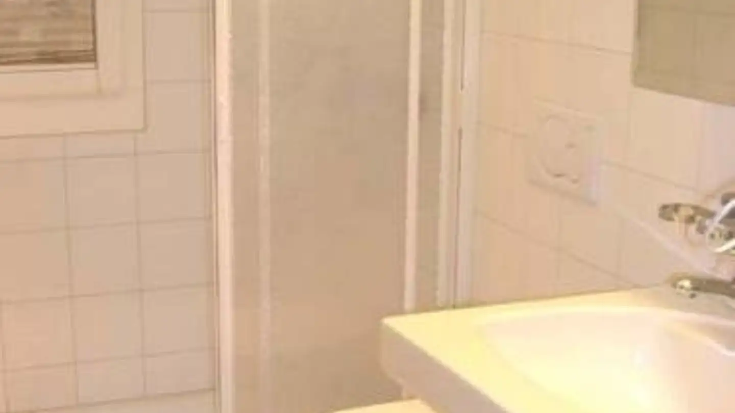 Appartamento in affitto - Rüterspüelstrasse 2, 8173 Neerach - Foto 4