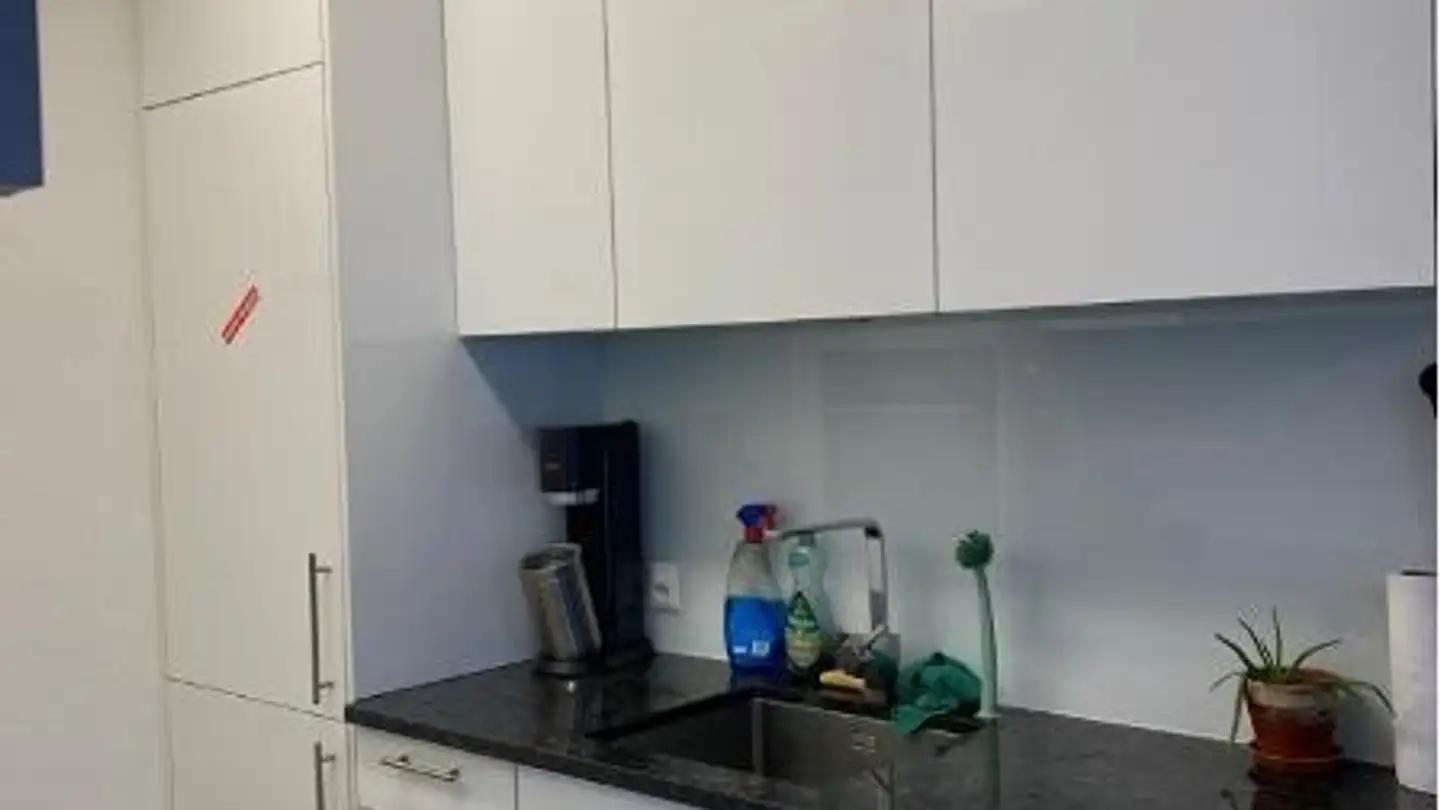 Wohnung mieten - 4055 Basel