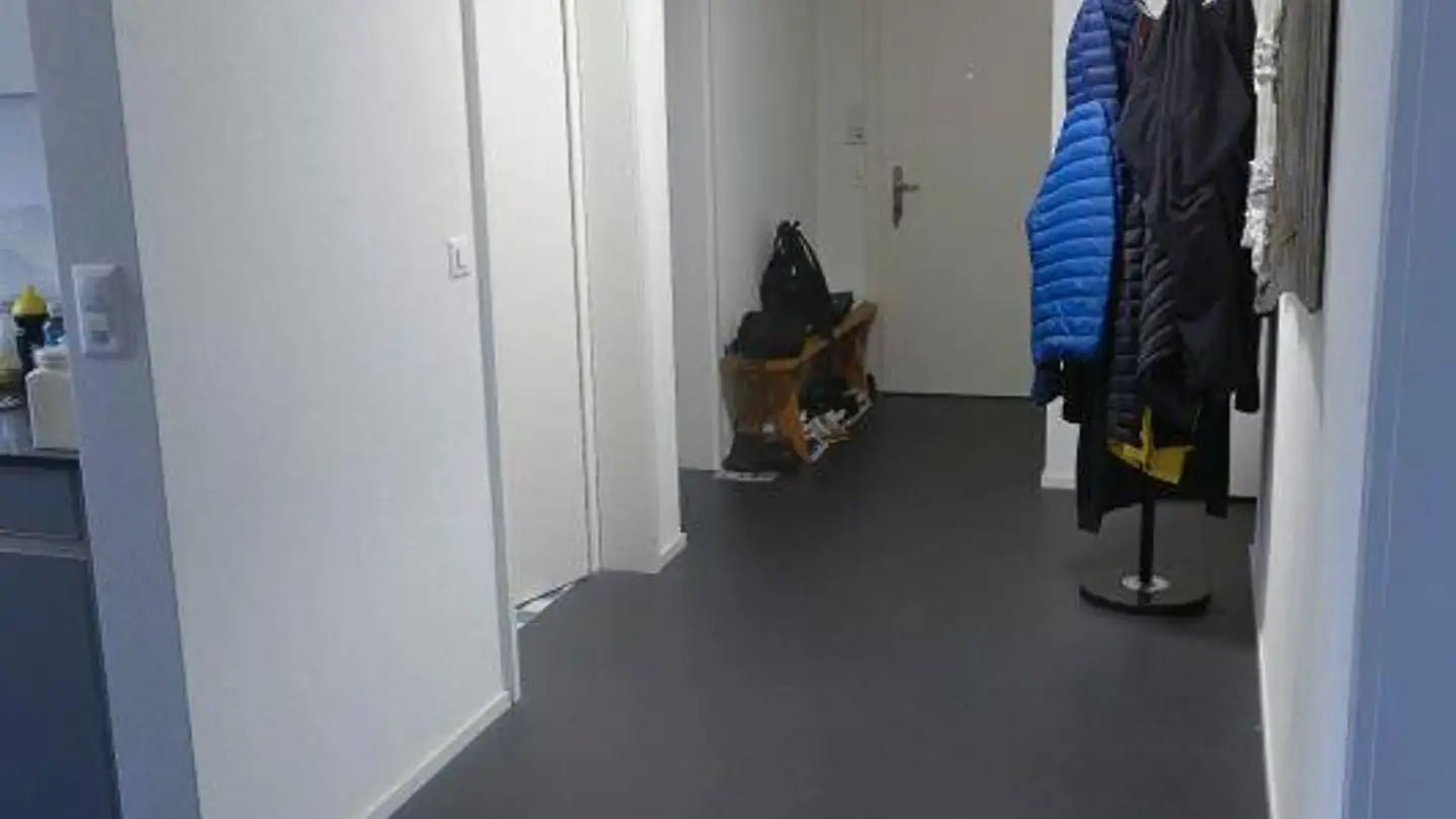 Appartamento in affitto - Hulfteggstrasse 2, 8400 Winterthur - Foto 4