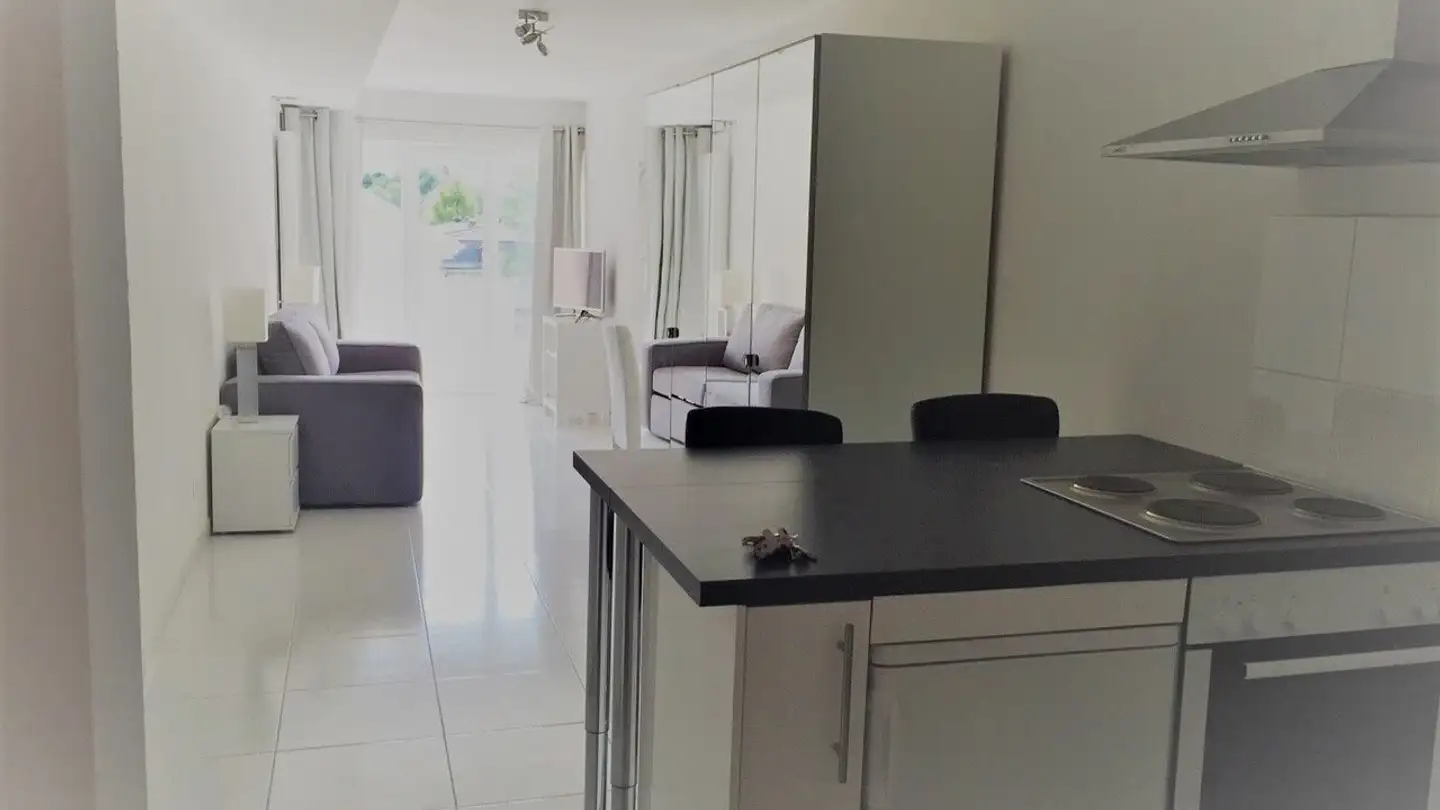 Commercial for sale - Rue Du Jura, 2900 Porrentruy - Photo 4