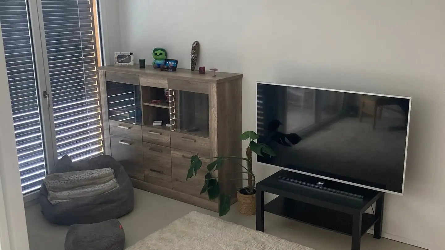 Appartamento in affitto - Oelbergstrasse 12, 5734 Reinach AG