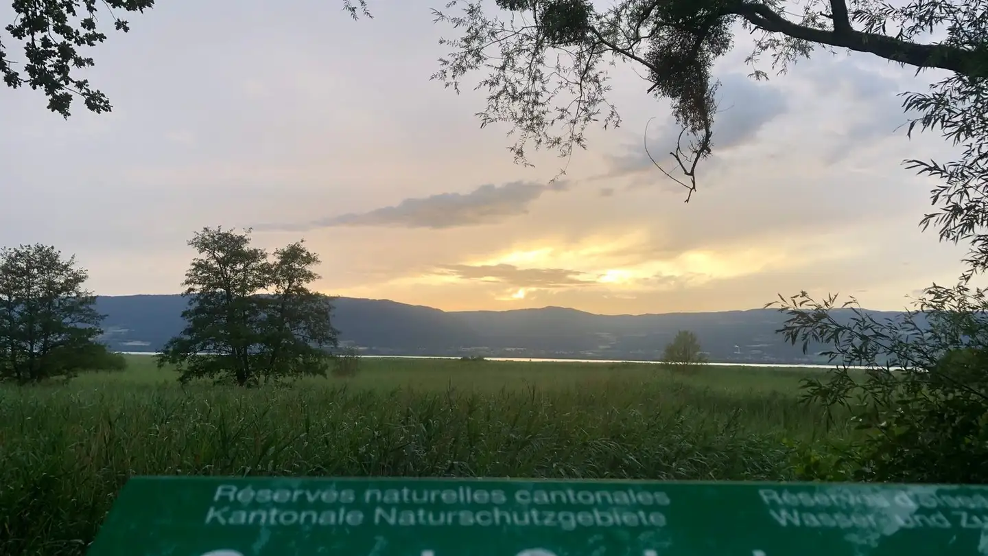 Appartamento in affitto - Route Des Grèves, 1544 Gletterens - Photo 4