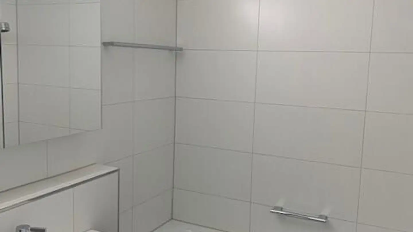 Appartement à louer - In Der Fadmatt 55, 8902 Urdorf - Photo 3