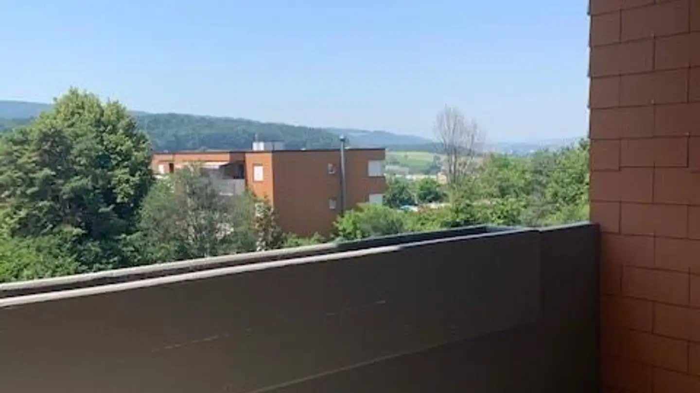 Appartement à louer - In Der Fadmatt 55, 8902 Urdorf - Photo 2