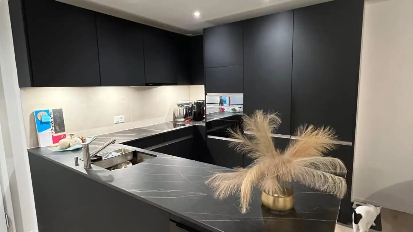 Appartement en terrasse à vendre - Route D'ursy 10, 1674 Montet (Glâne)