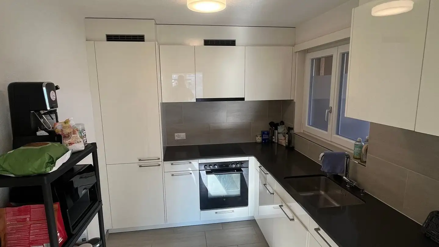 Appartamento ammobiliato in affitto - Freiestrasse 4, 8952 Schlieren - Foto 4