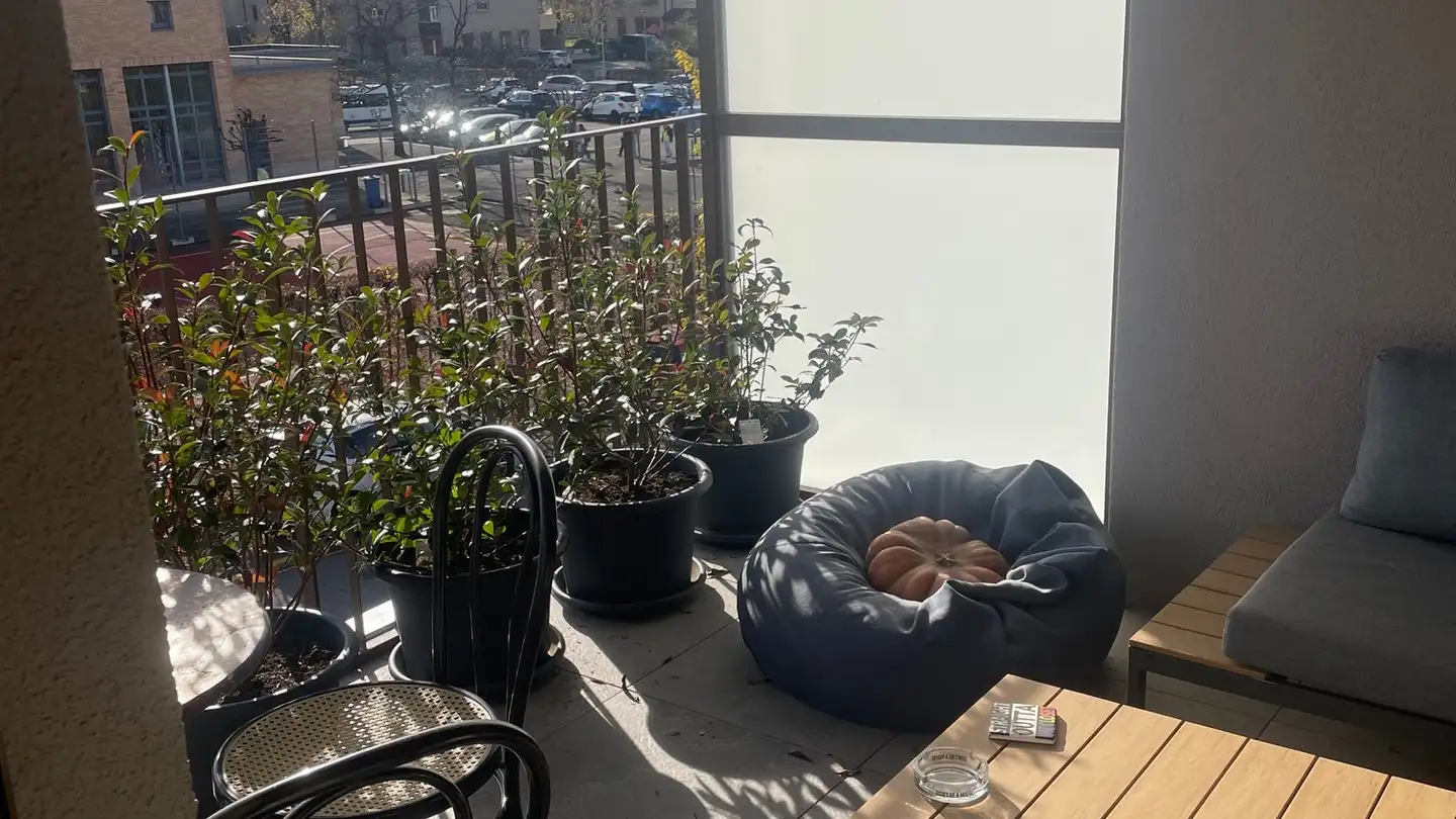 Appartamento in affitto - Zelgweg 19, 8500 Frauenfeld - Photo 2