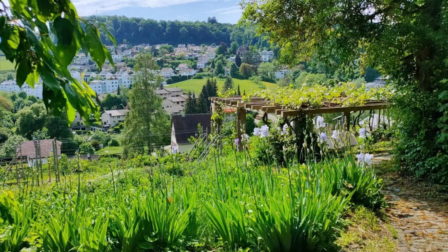 Villa à vendre - 8200 Schaffhausen - Photo 4