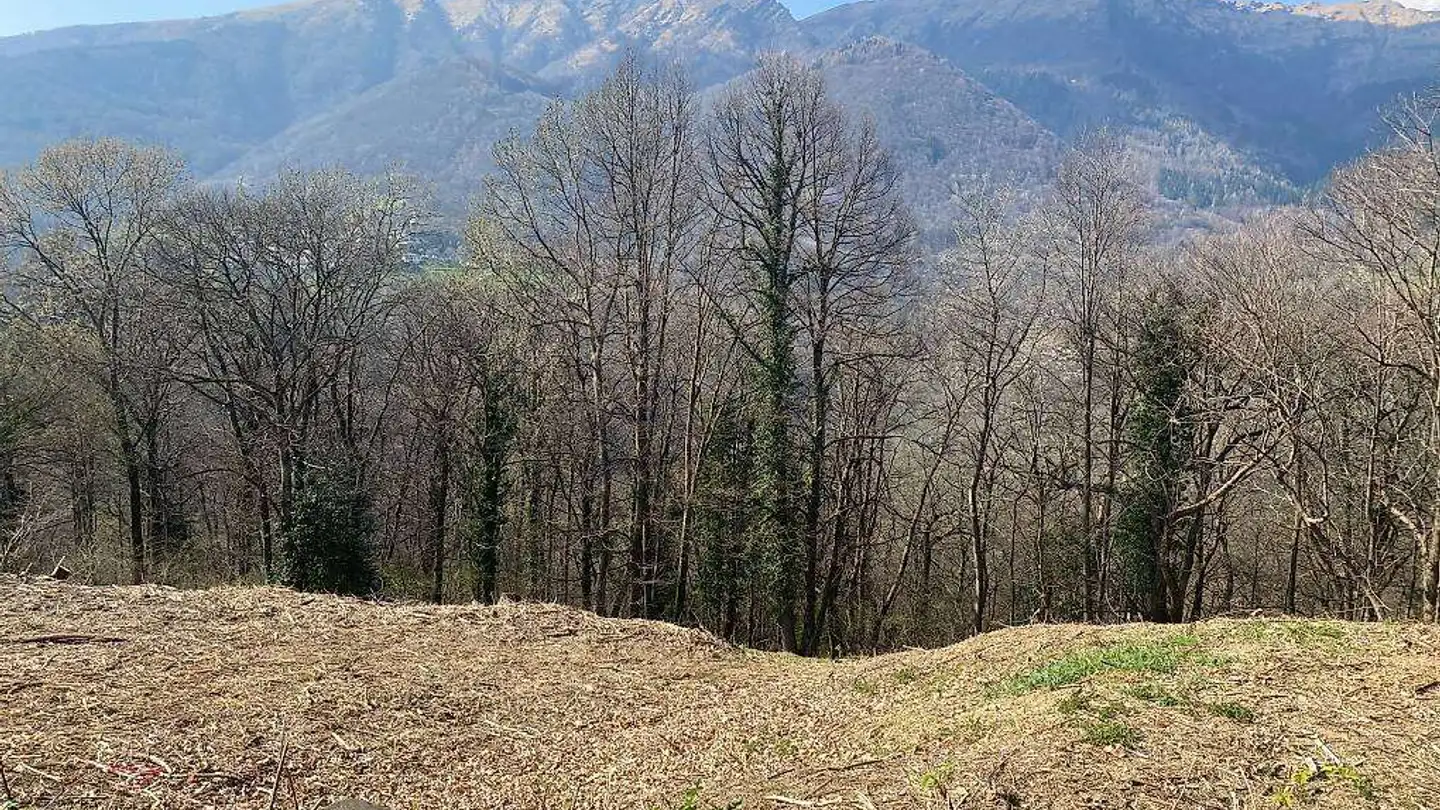 Constructible plot for sale - 6994 Aranno