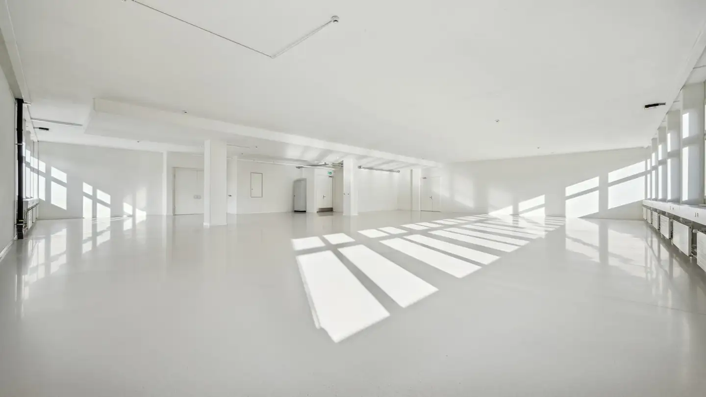 Commerciale in affitto - Honeywell-Platz 1, 8157 Dielsdorf - Photo 2