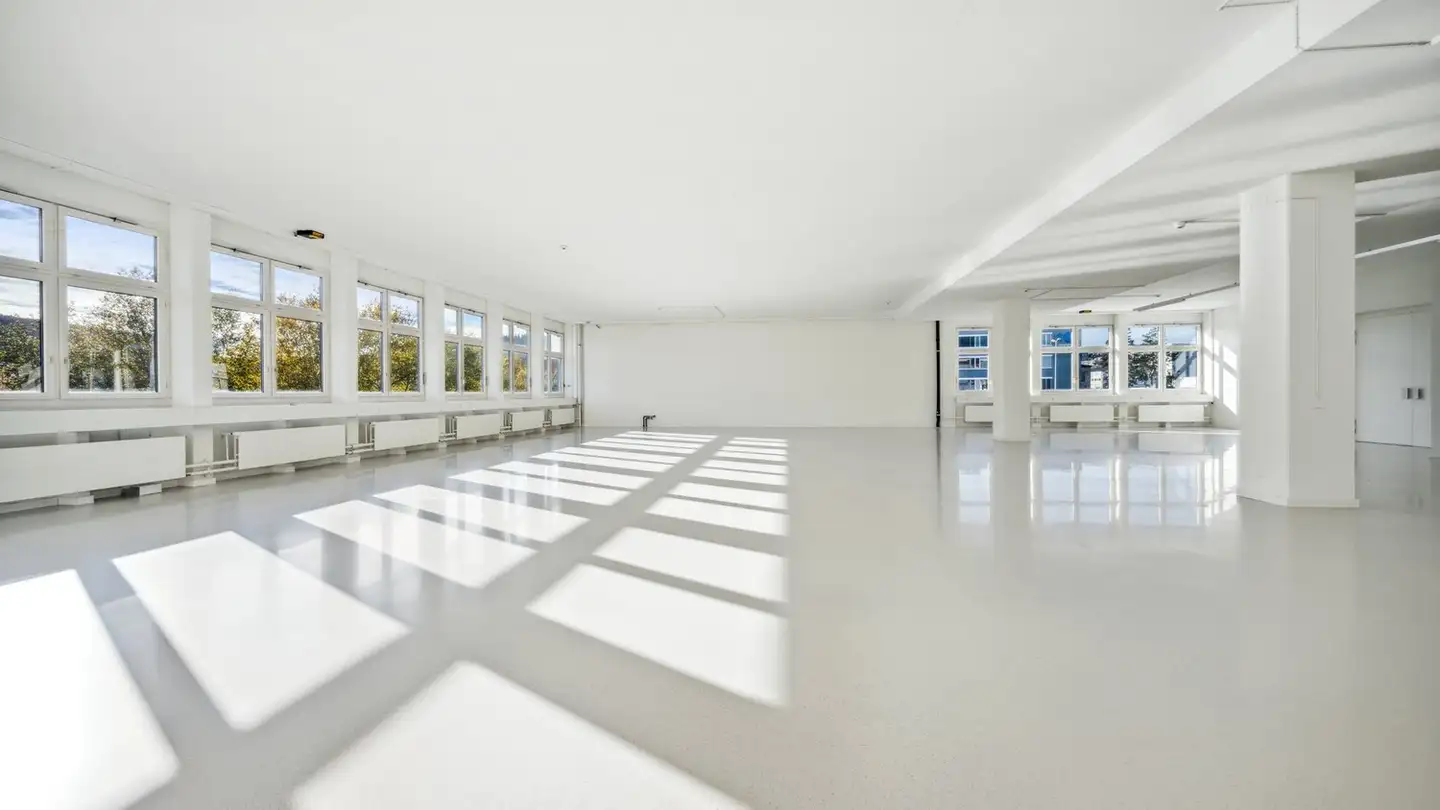 Commerciale in affitto - Honeywell-Platz 1, 8157 Dielsdorf - Photo 3