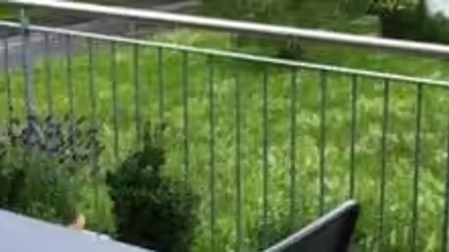 Attico in affitto - Bürenbeundestrasse 6, 3295 Rüti b. Büren - Foto 4