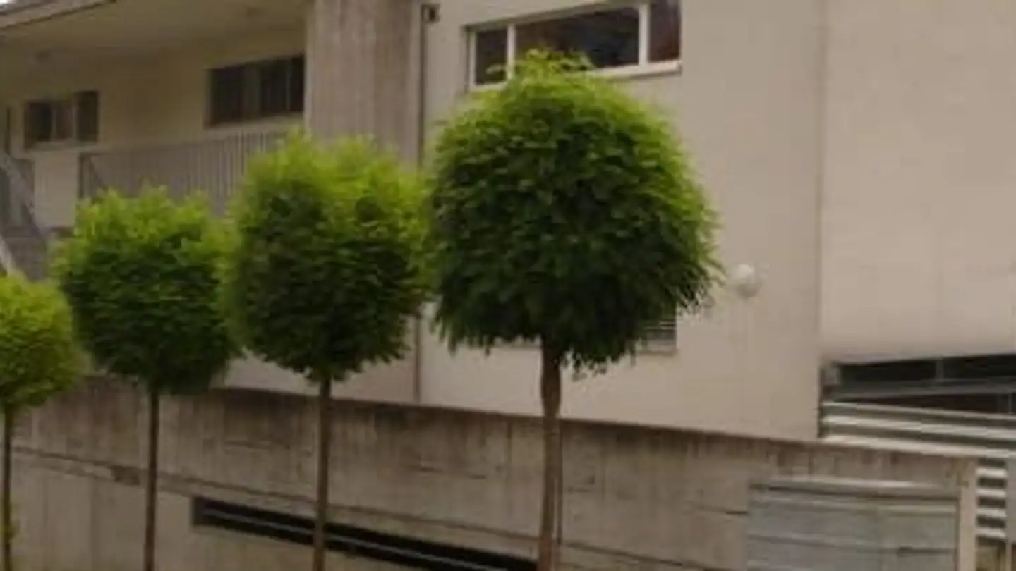 Appartement à louer - Bifang, 4625 Oberbuchsiten