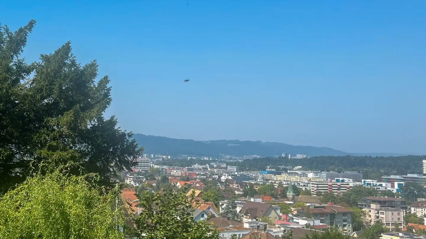 Appartamento in vendita - Alter Zürichweg, 8952 Schlieren - Foto 3