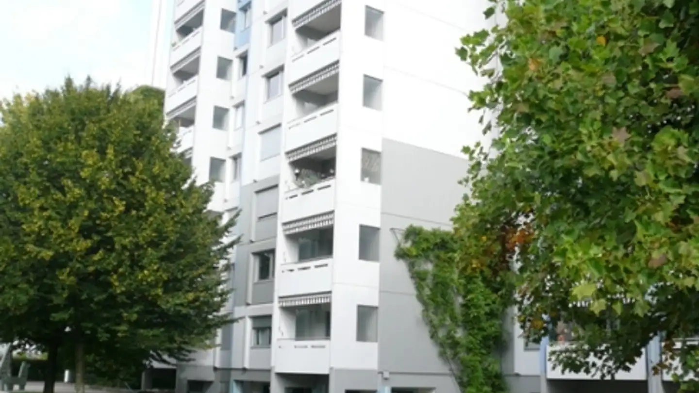 Appartement à louer - Müllerwis 21, 8606 Greifensee