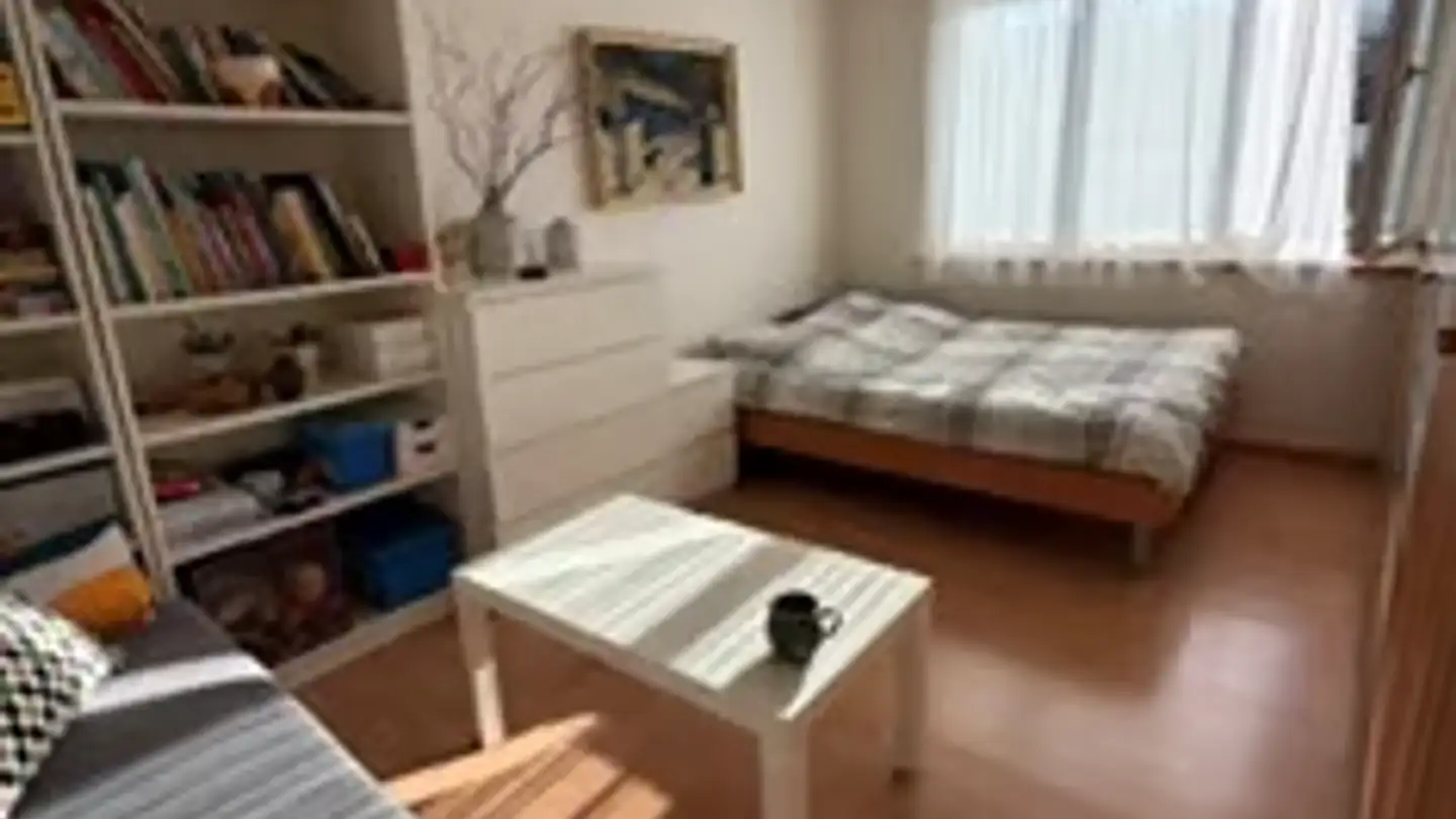 Appartamento in affitto - Schürbungertweg 10, 8302 Kloten - Foto 3