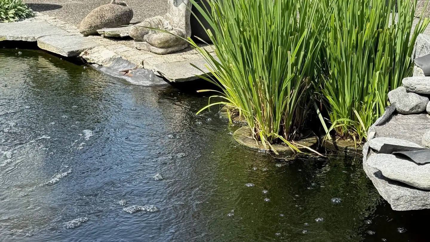 Maison individuelle à vendre - Untergütschstrasse 24, 6038 Honau - Photo 3