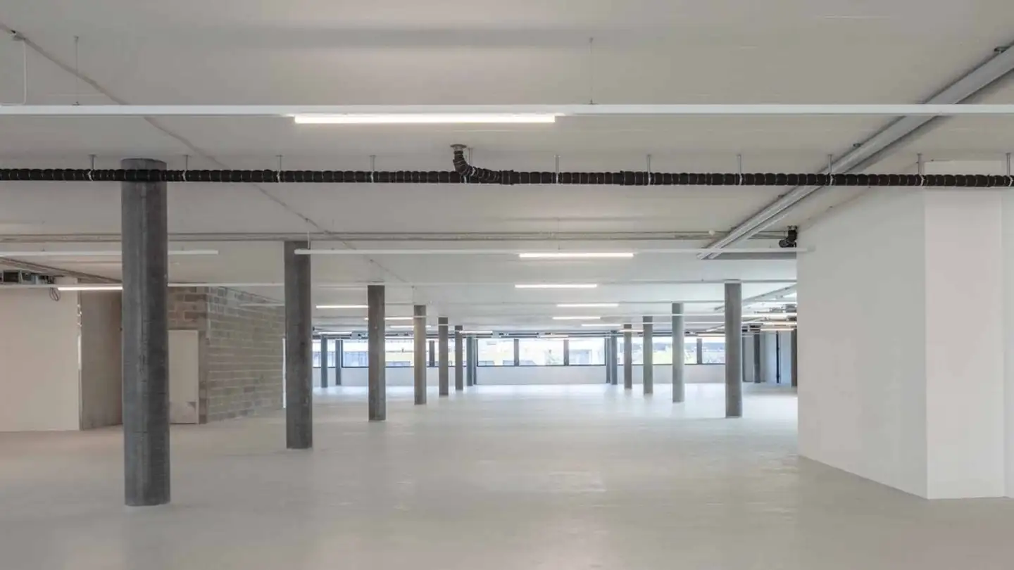 Office space for rent - Chemin Du Pré Fleuri 15, 1228 Plan-les-Ouates - Photo 4