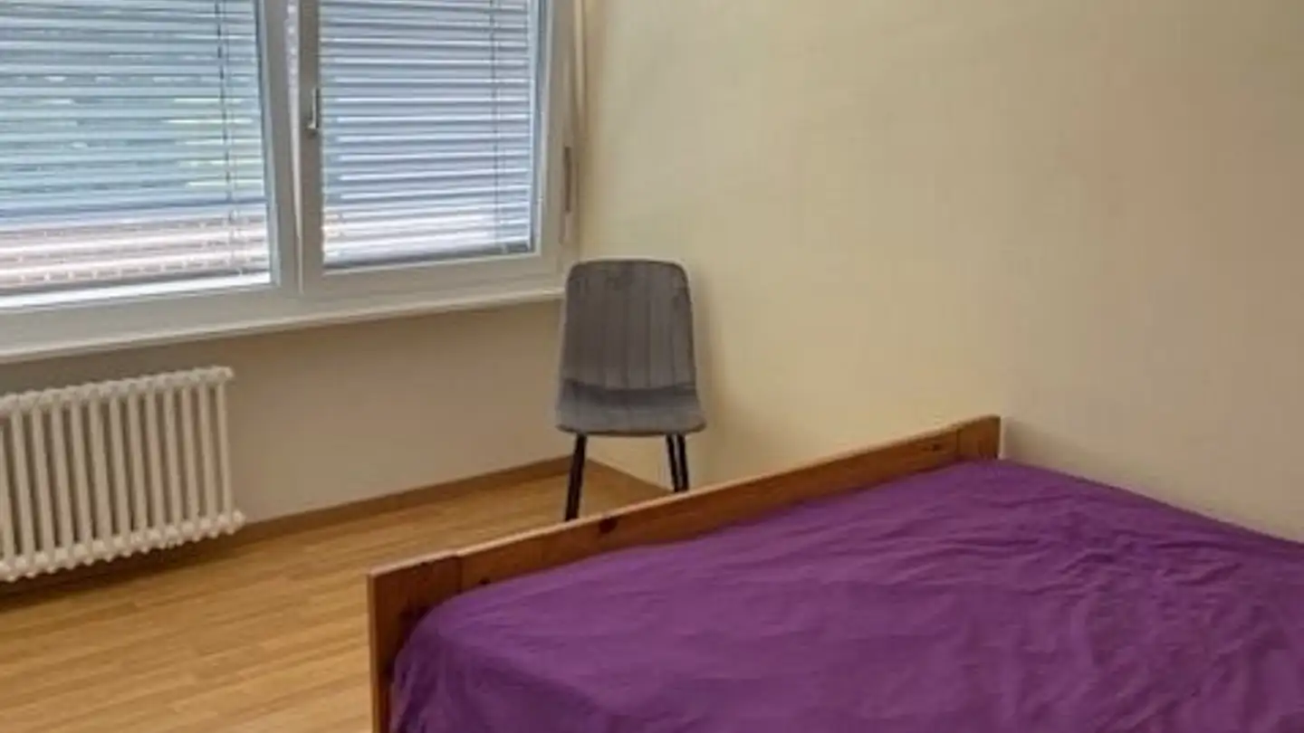 Wohnung mieten - Route Du Col Des Mosses 106, 1862 Les Mosses - Foto 4